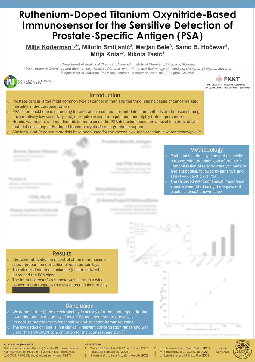 Mitja Koderman Poster