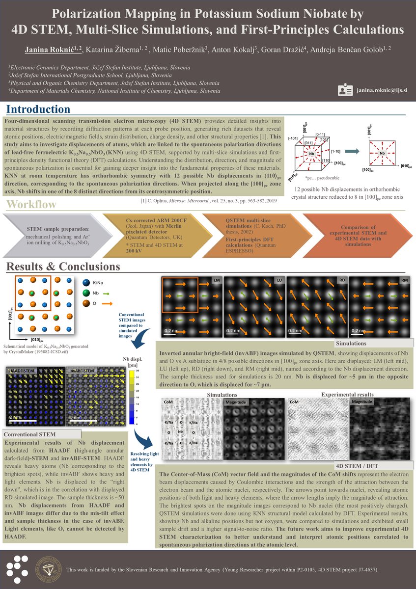 Janina Roknić Poster