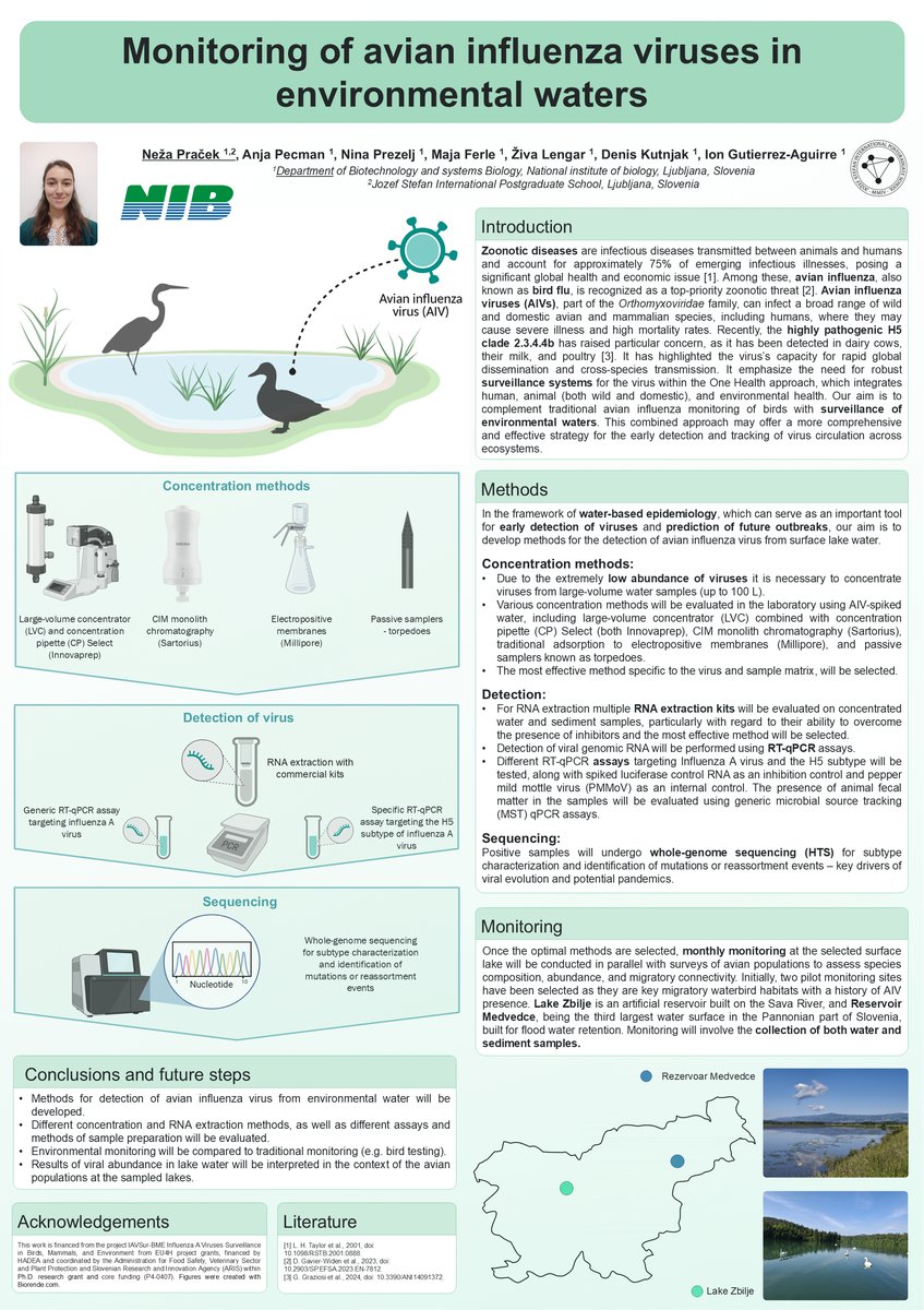 Neza Pracek Poster